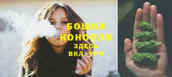 крисы Михайловка
