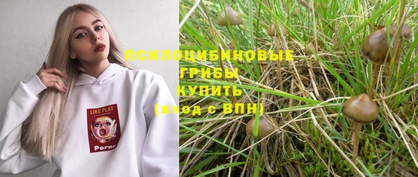 крисы Михайловка