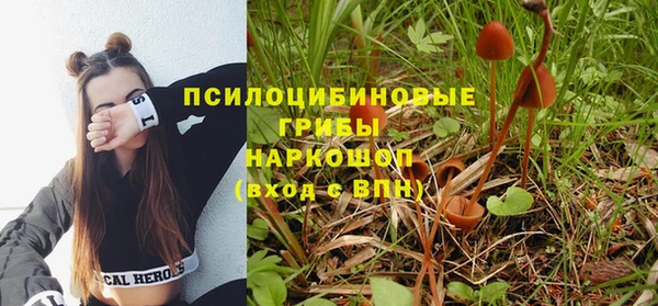 крисы Михайловка